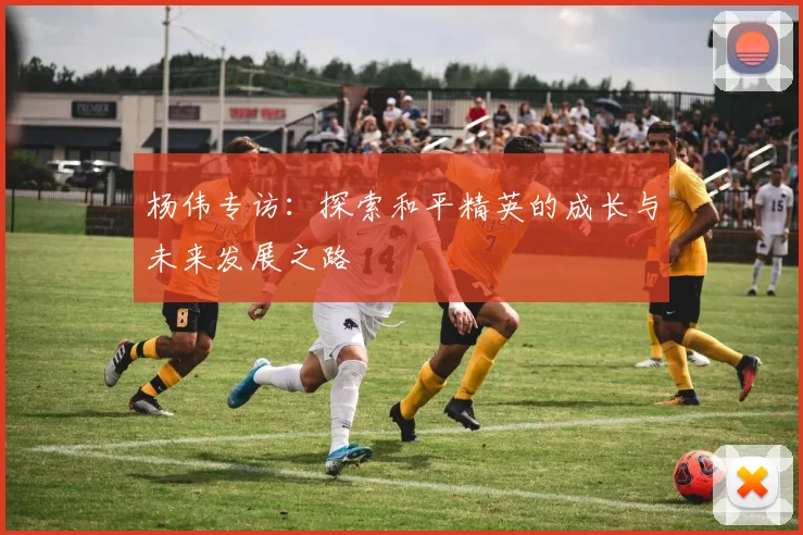 杨伟专访：探索和平精英的成长与未来发展之路